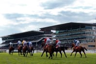 Cheltenham Racecourse - Racecourse.jpg