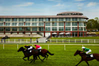 Marriot Lingfield Park Hotel & Country Club - Horese racecourse