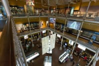 National Museum of Scotland - interior