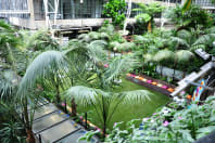 Barbican - Conservatory - Day Grass