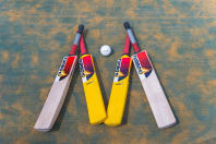 Investigate Turbo Cricket Game