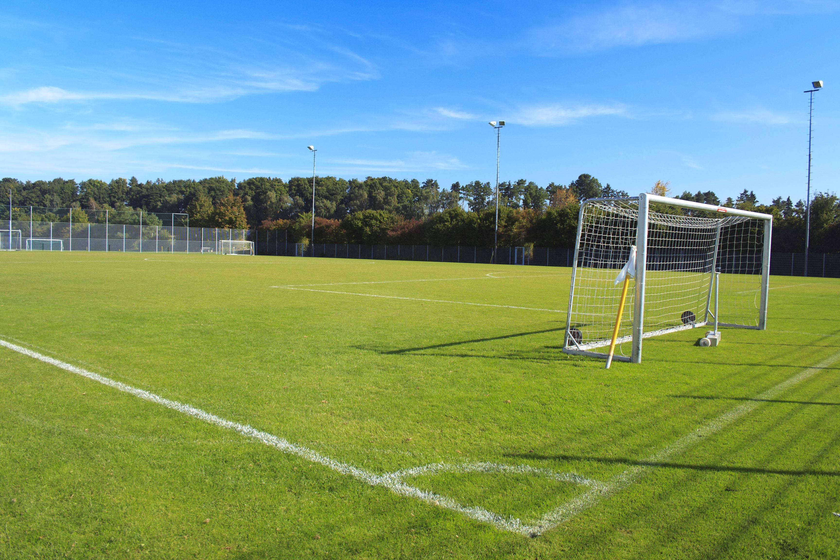 soccer field 2.jpg