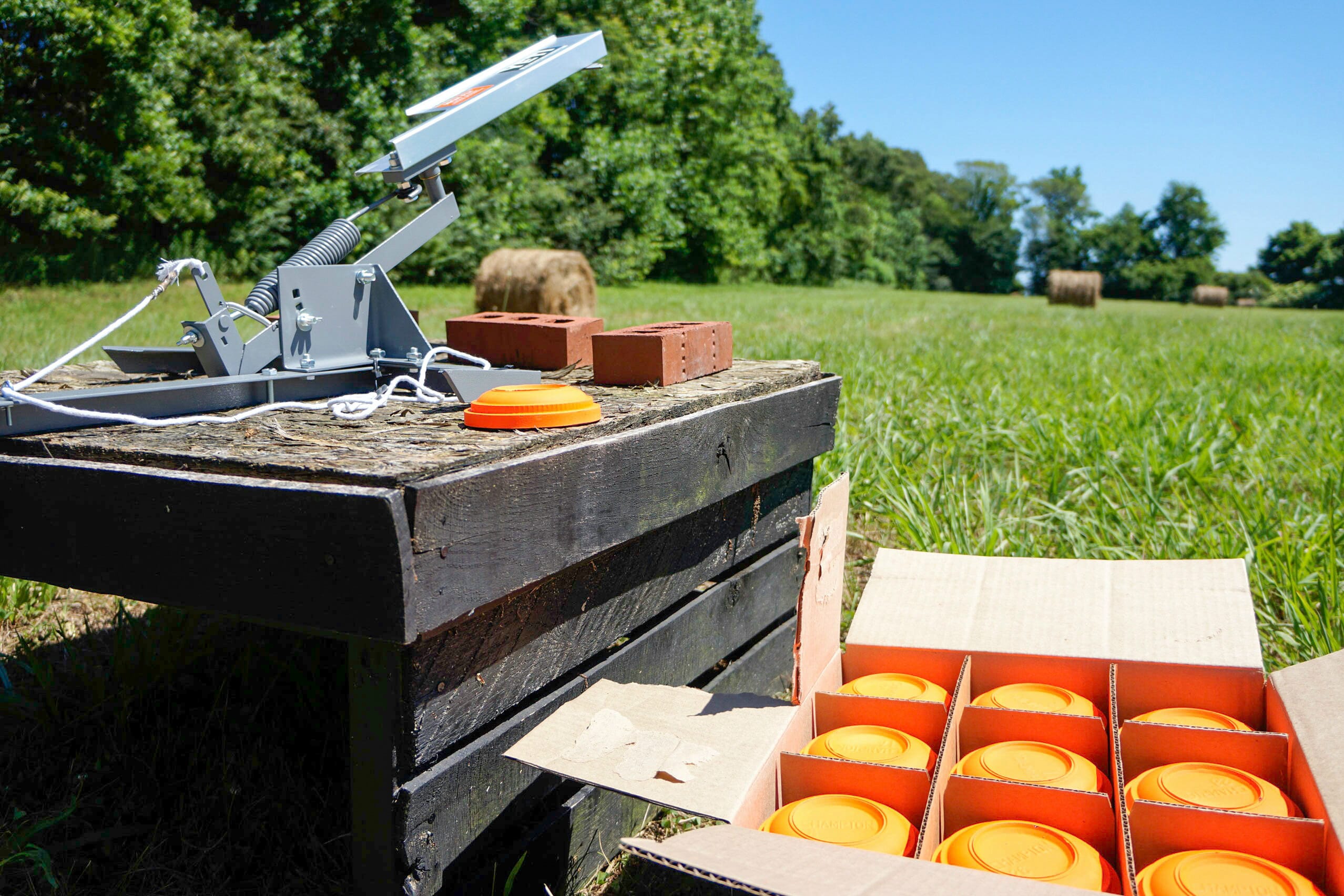 Generic clay pigeon shooting.jpg