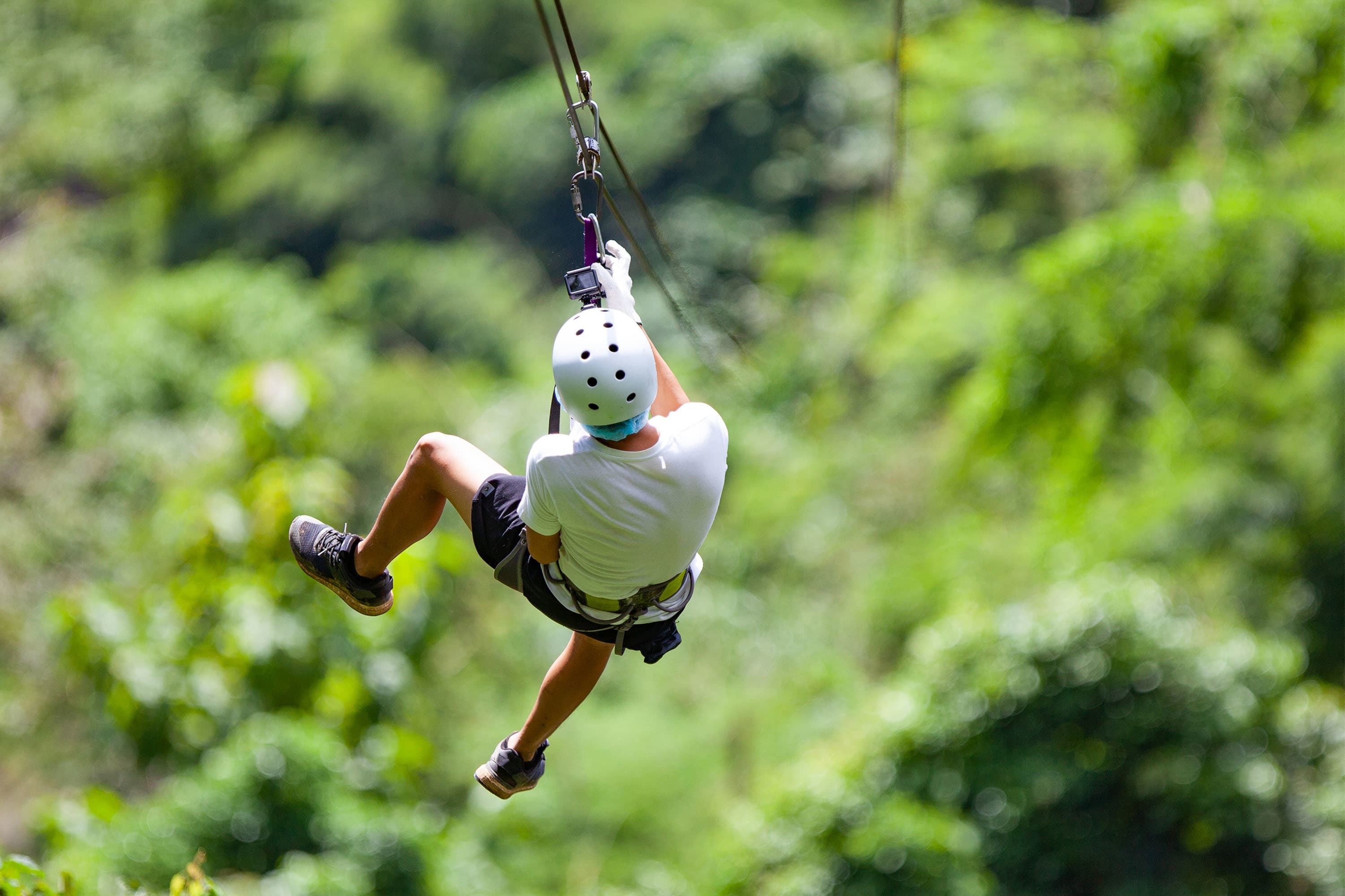 Zip wire zip line stag