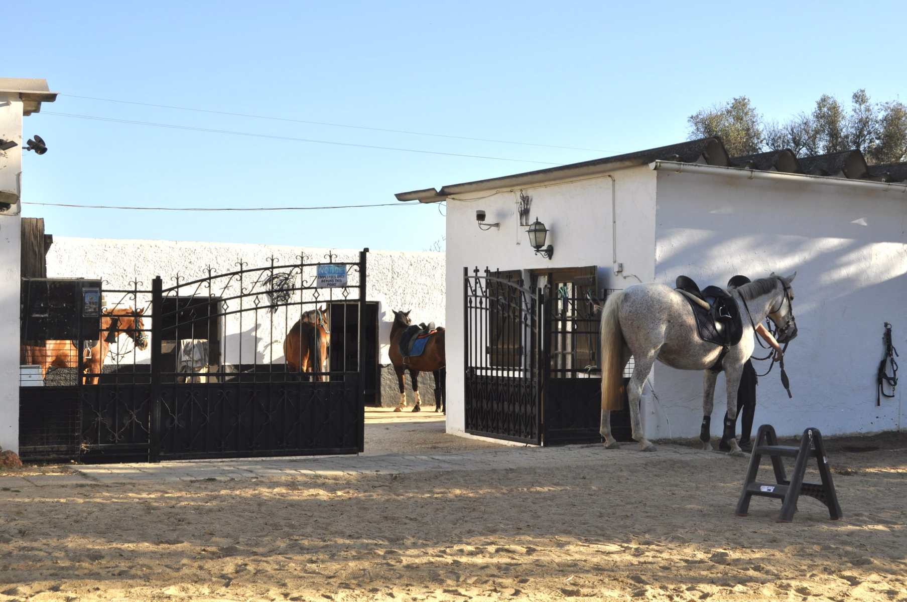 Riding School
