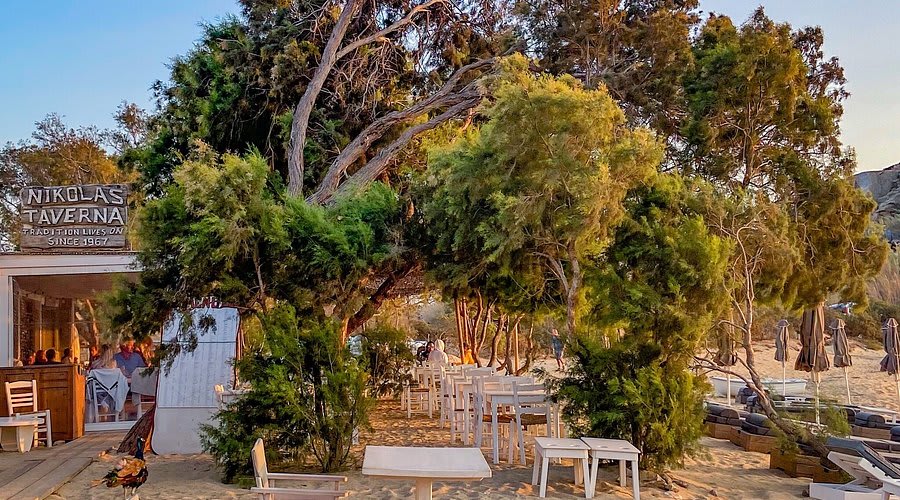Nikolas Taverna