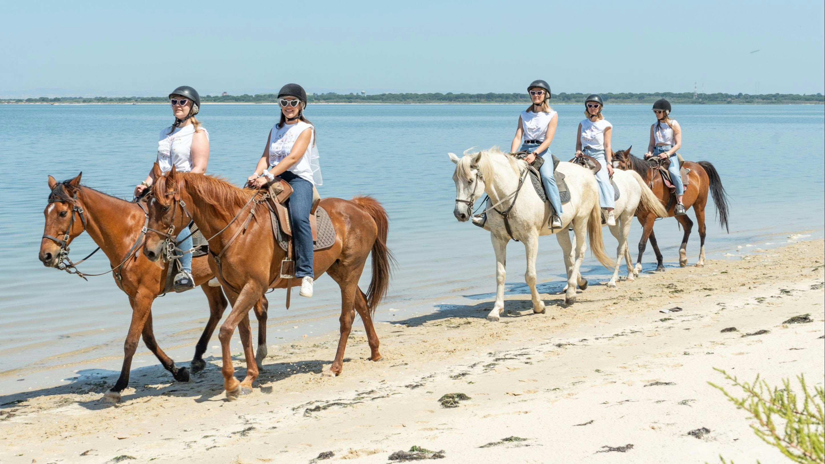 Horse Riding
