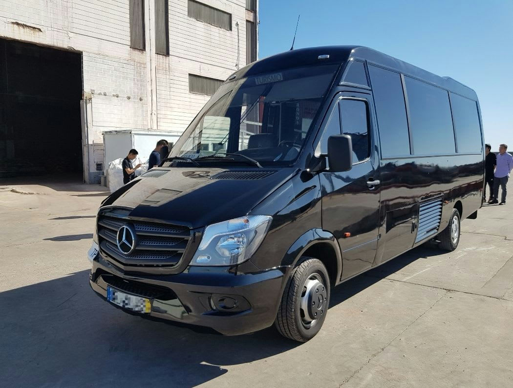 Mini Party Bus