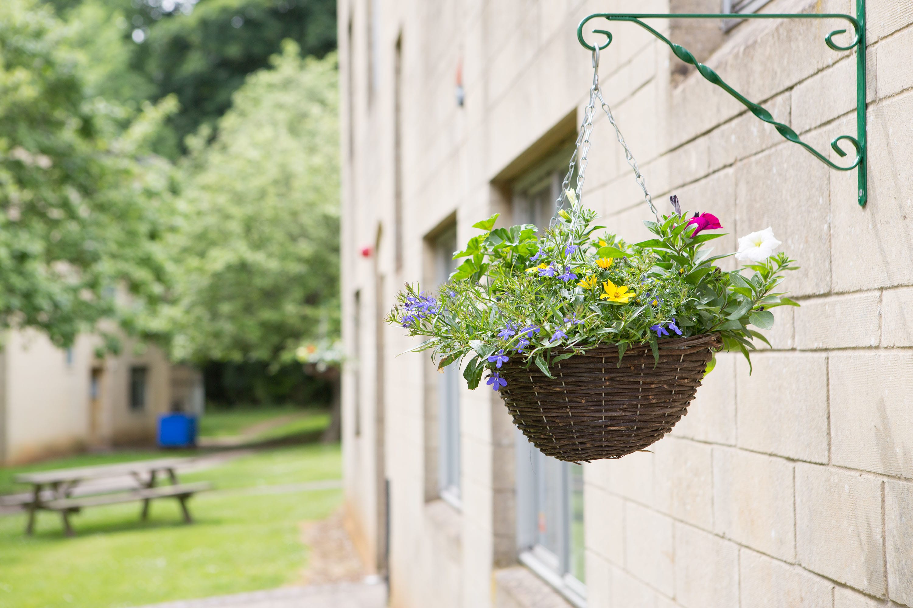 Bath University - Private Houses