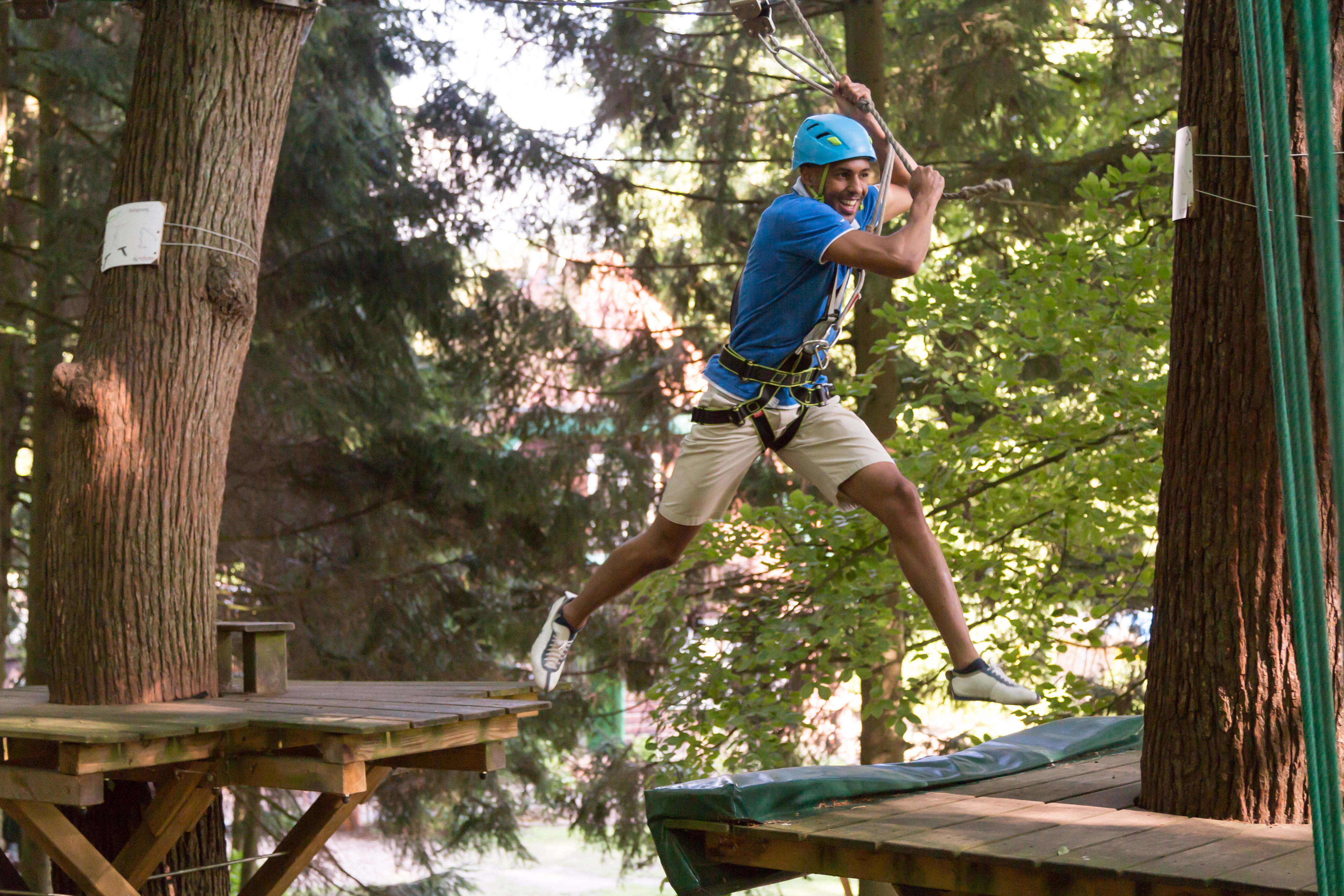 high ropes stag.jpg