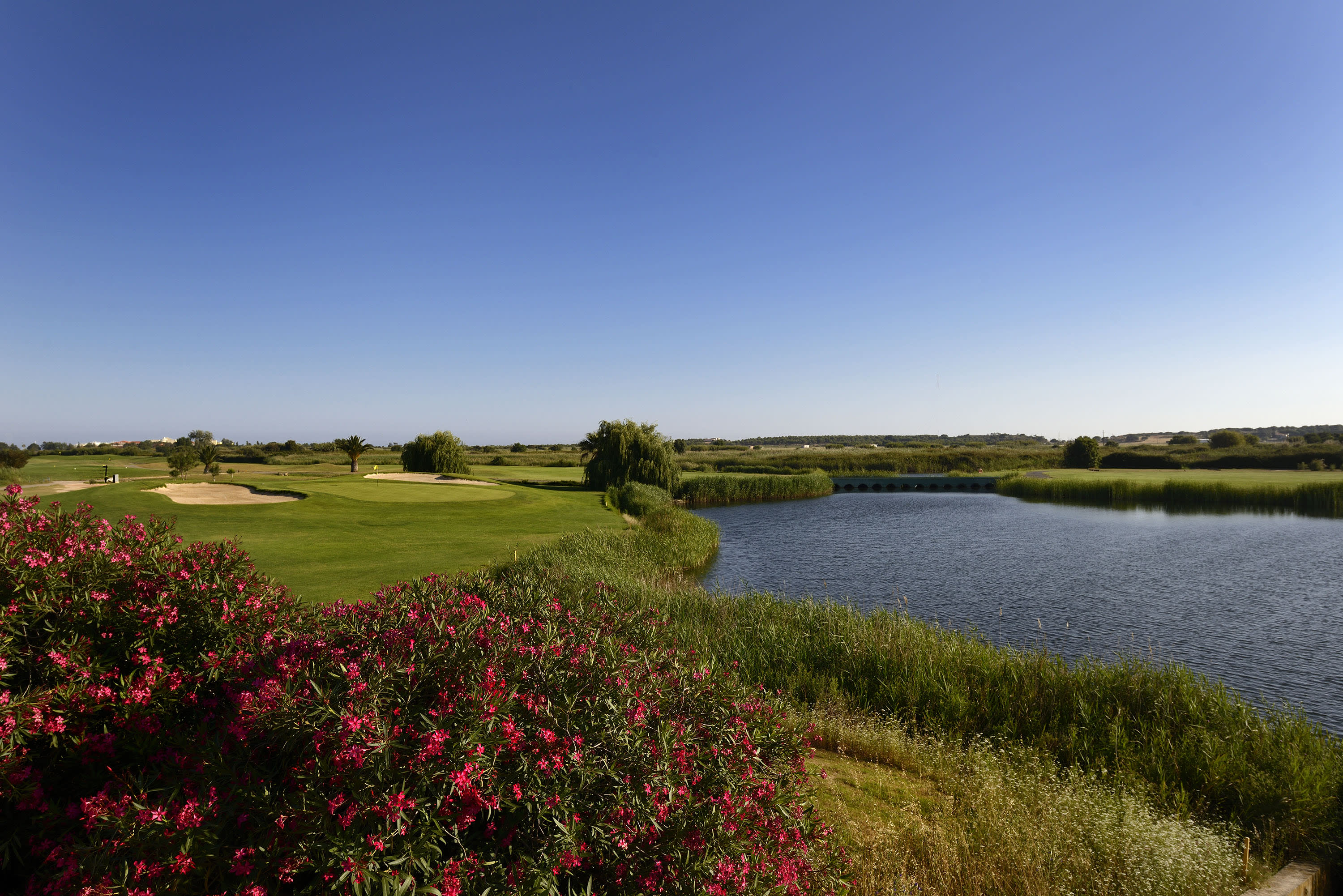 Laguna Golf Course 12th hole.jpg