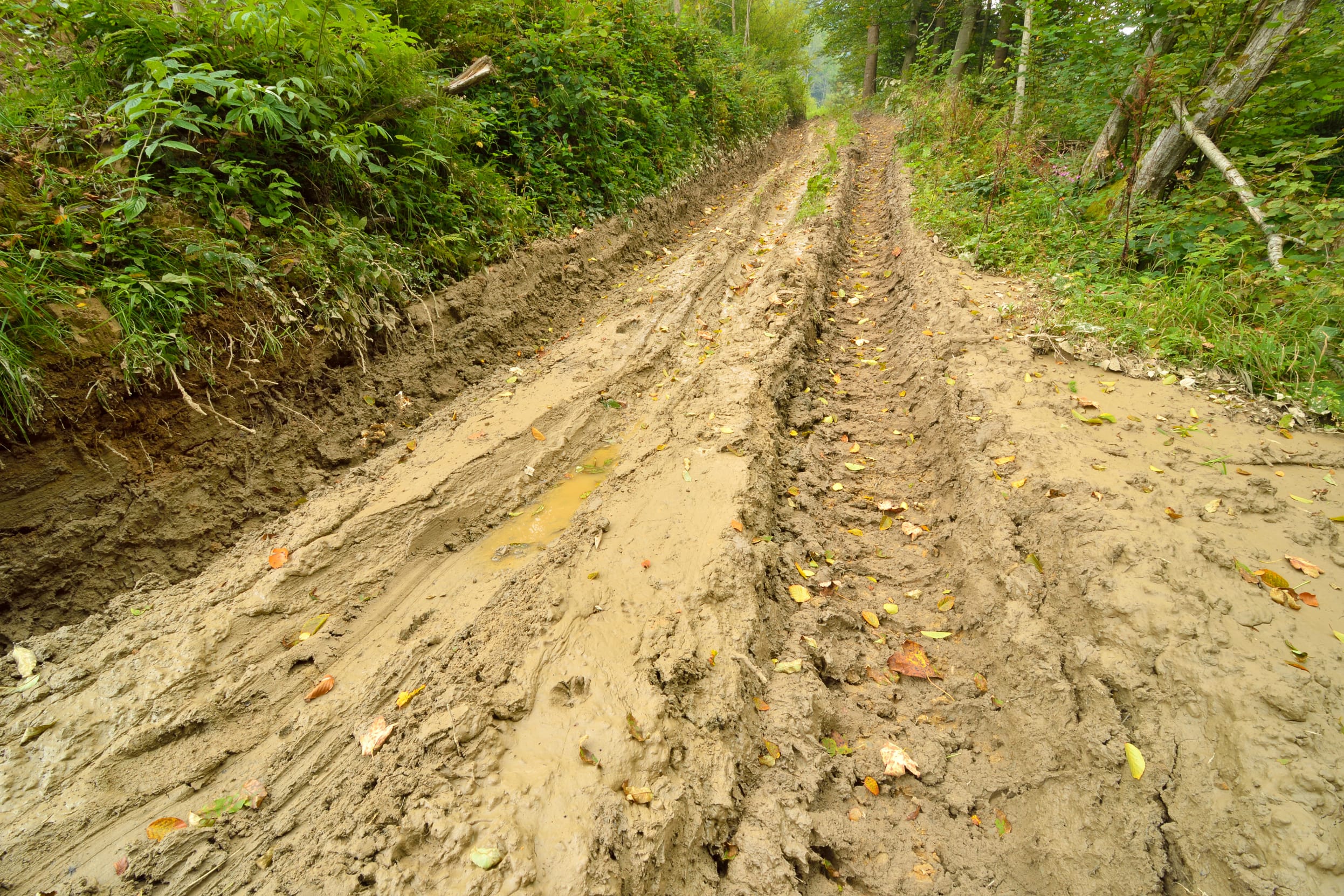Off road muddy track.jpg
