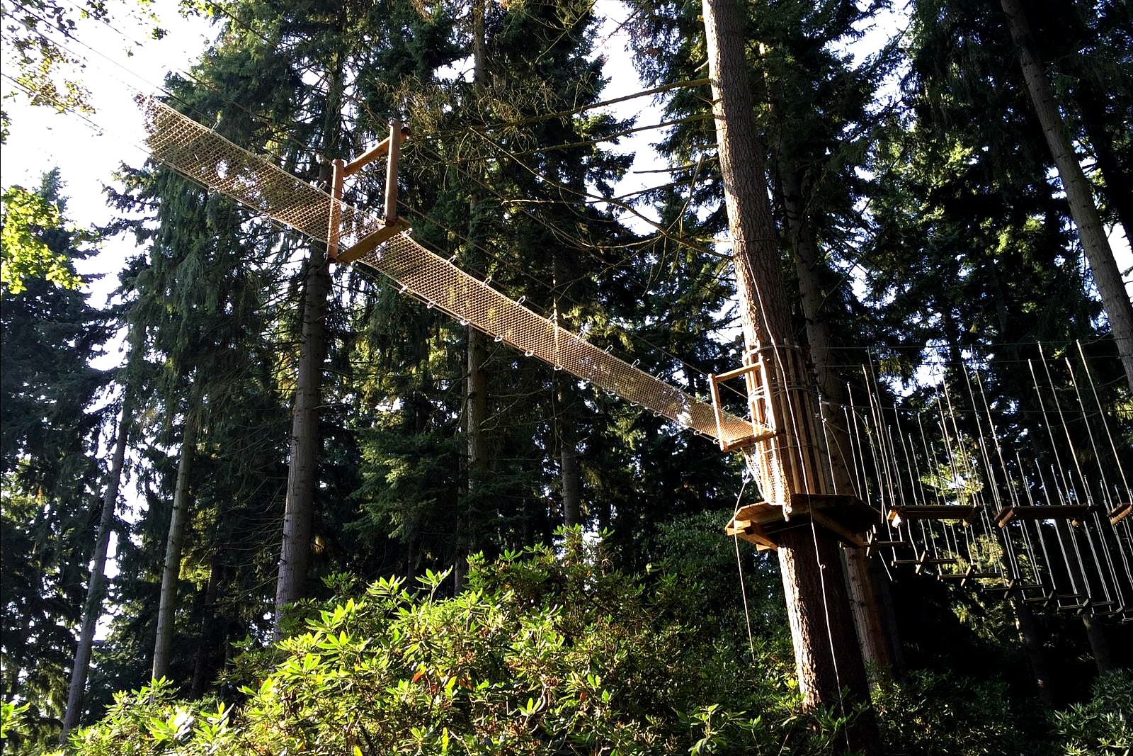 Go Ape - Trent Park - exterior.jpg