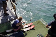 Cable Skiing & Wakeboarding — Stag Do activity in Benidorm