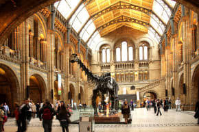 Museum Explorer Corporate Event Ideas