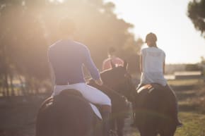 Mykonos Horse Riding & Transfers Stag Do Ideas