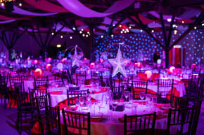 London Winter Secret Garden at Billericay Corporate Event Ideas