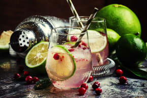 London Gin Tasting Masterclass Activity Weekend Ideas