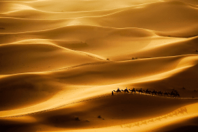 Las Vegas Gold of the Desert Kings™ - Planning, Productivity, Performance Corporate Event Ideas
