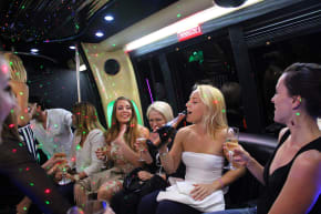Bournemouth Party Bus Tour & Meal Hen Do Ideas