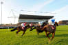 Kempton Park Racecourse - racecourse 2.jpg