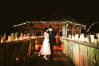 Wedding in a treehouse