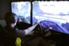 Simulator Racing