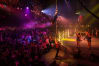 Adult Pirate Show