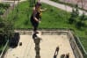 High ropes