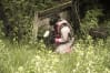Stag Croatia paintball