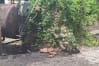 Ghost Town Airsoft