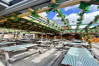Pins Social Club 2024