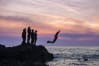 New Coasteering Image