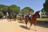 Horse Riding 2