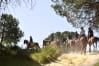 Horse Riding 3