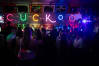 cuckoo