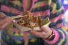 York Food Tours