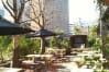 Duke Of Somerset London