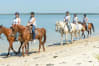 Horse Riding