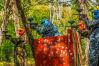 Paintball - 3