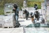 Paintball Madrid Sur Action Live