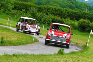 two stag racing mini's