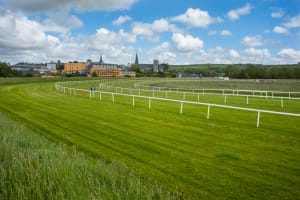 horse racecourse ground