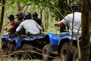 A group of men riding through the woods on quad bikes