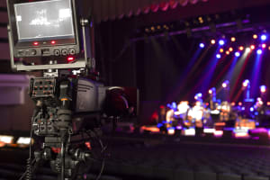 Lights Camera Action