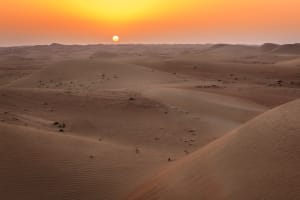 dubai desert conservation reserve