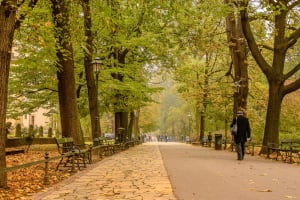 **editorial** Planty Park Krakow