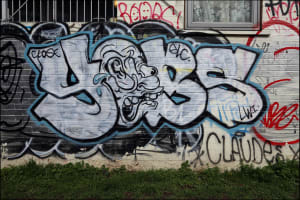 Crime - Yobs Graffiti