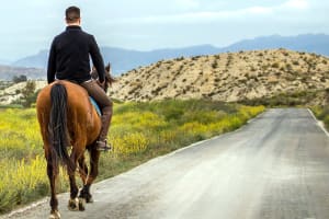 Horse Riding in the Catalan Mountains