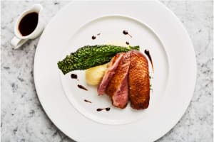 Gusto - Duck